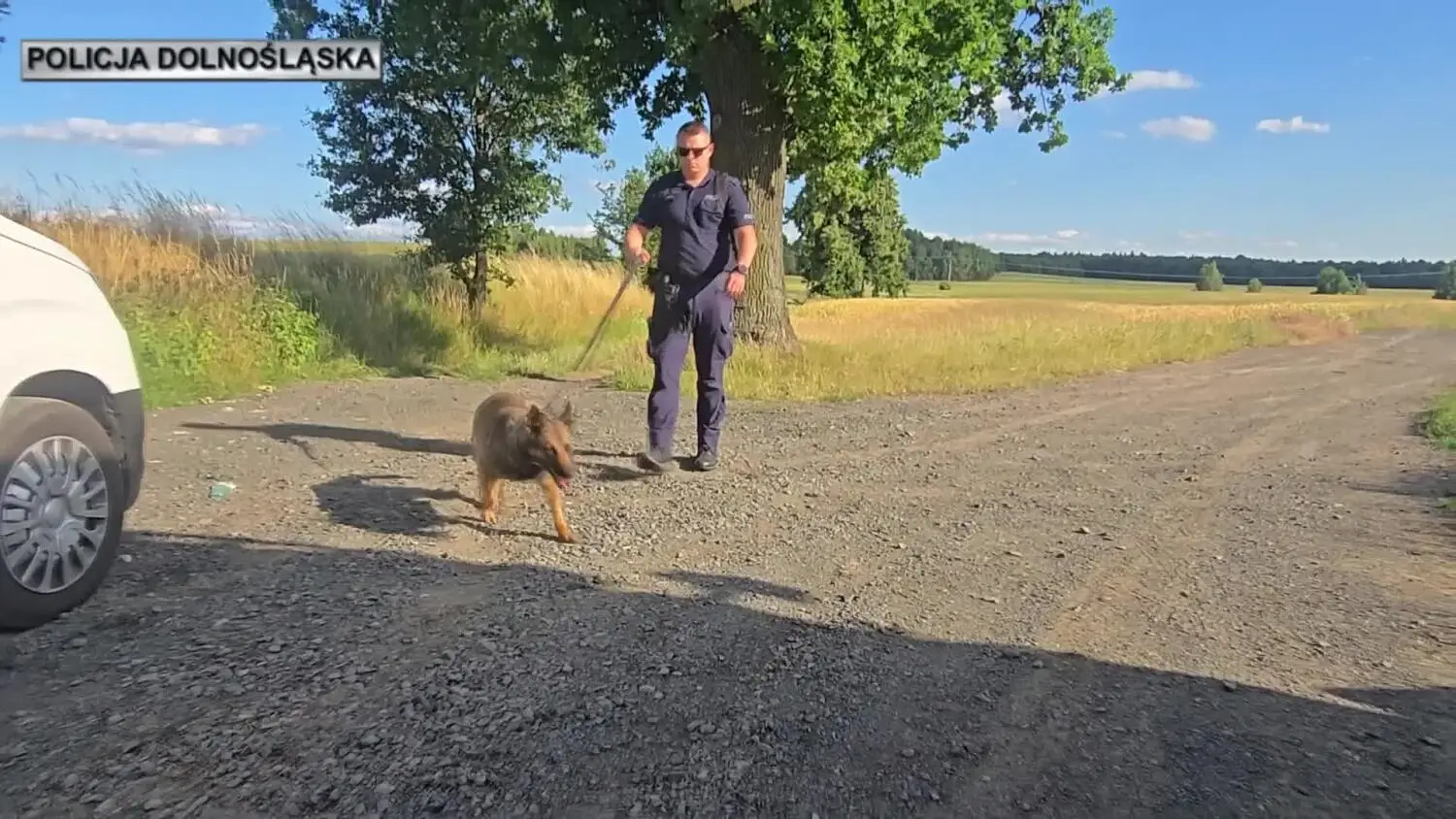Podwójna akcja poszukiwawcza w powiecie zgorzeleckim